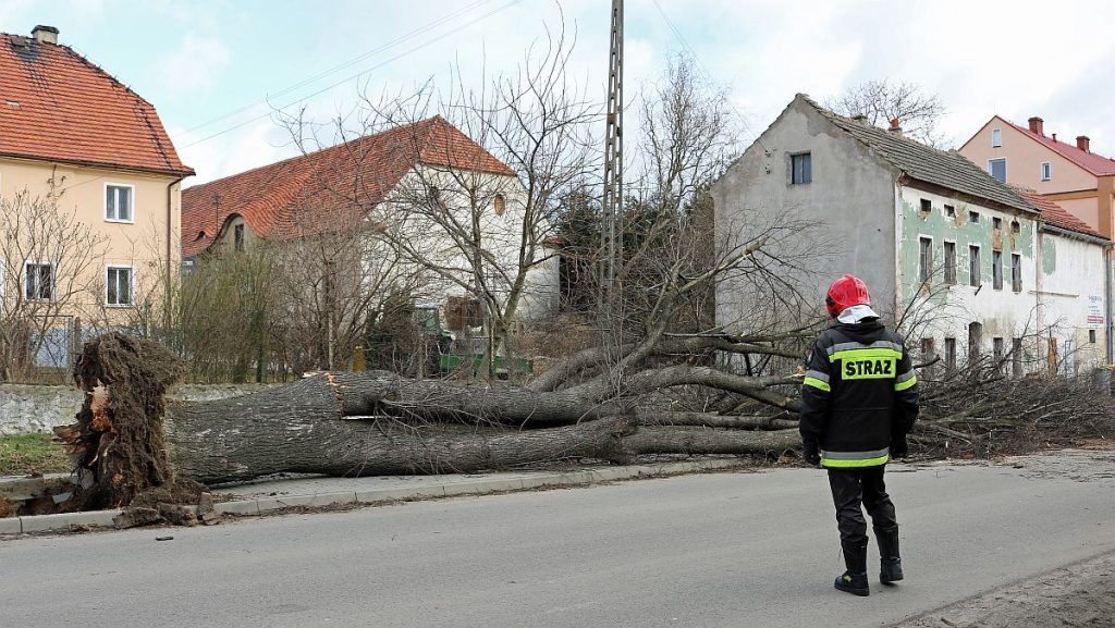 Na zgłoszenie szkód był tylko jeden dzień