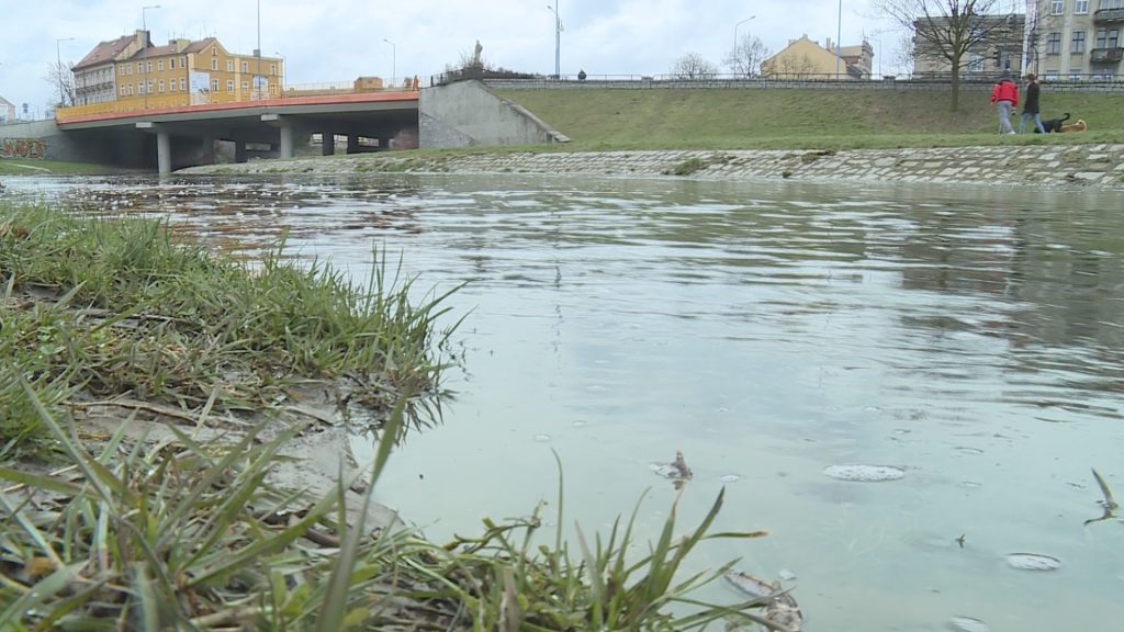 Ulewa nad Legnicą. Zalane piwnice i garaże