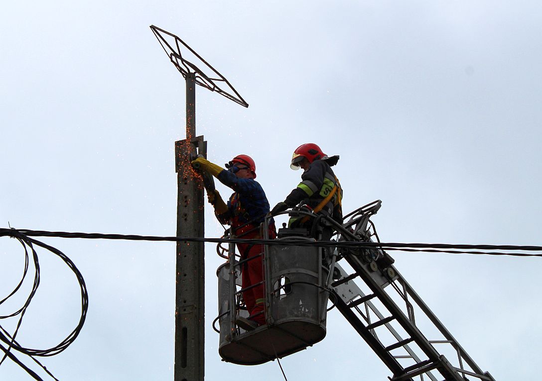 Bociany znów będą mieć swoje gniazdo w Legnicy (WIDEO)