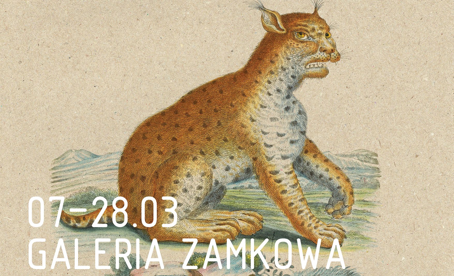 Wzgórze Zamkowe pełne zwierząt