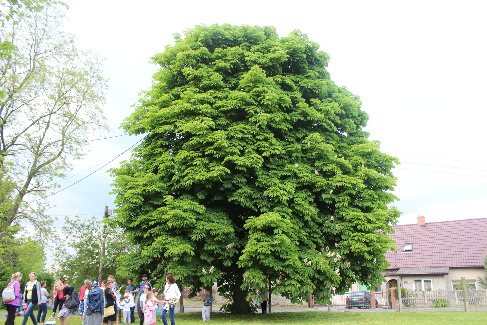 Konkurs dla pięknych wsi w regionie