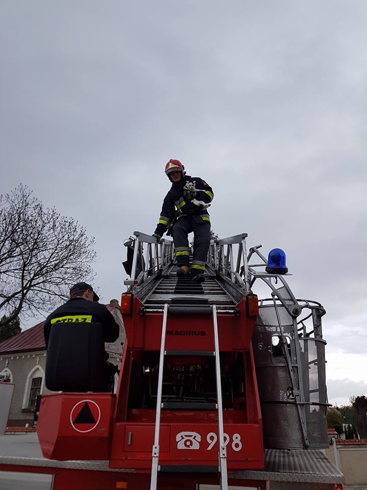 Nietypowa świąteczna akcja polkowickich strażaków