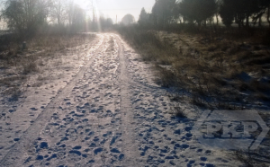 Nowa Wieś Złotoryjska (1)