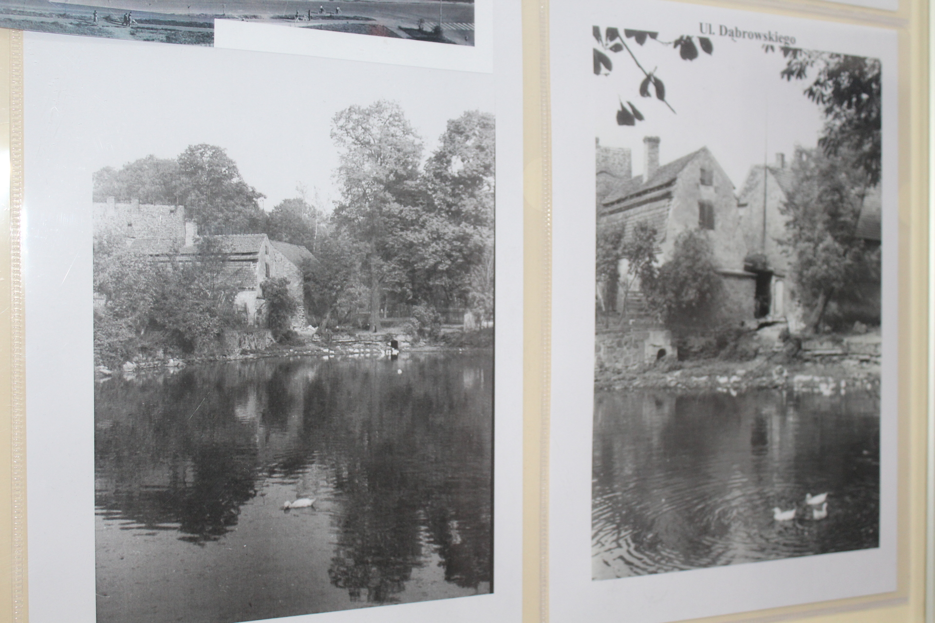 Dlaczego Polkowice „stały” w wodzie?