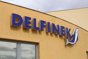 delfinek_basen