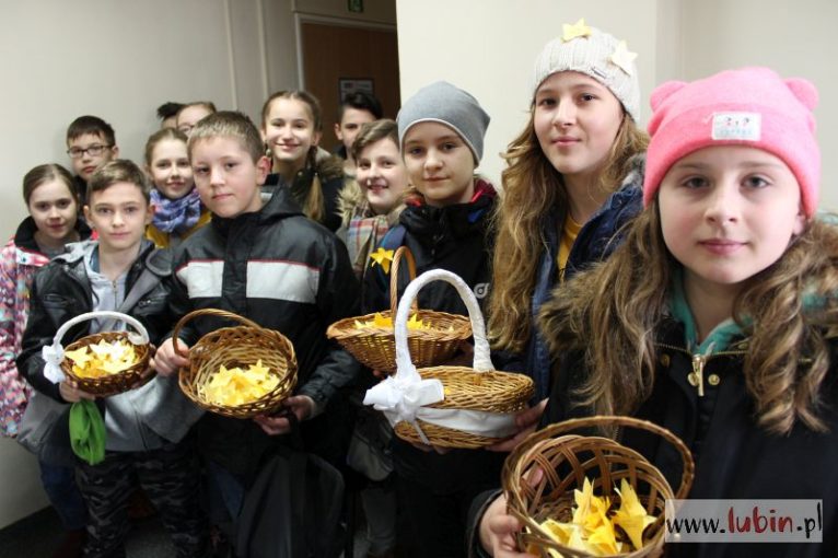 Papierowe żonkile dla lubinian (WIDEO)