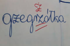 Młodzi mistrzowie ortografii