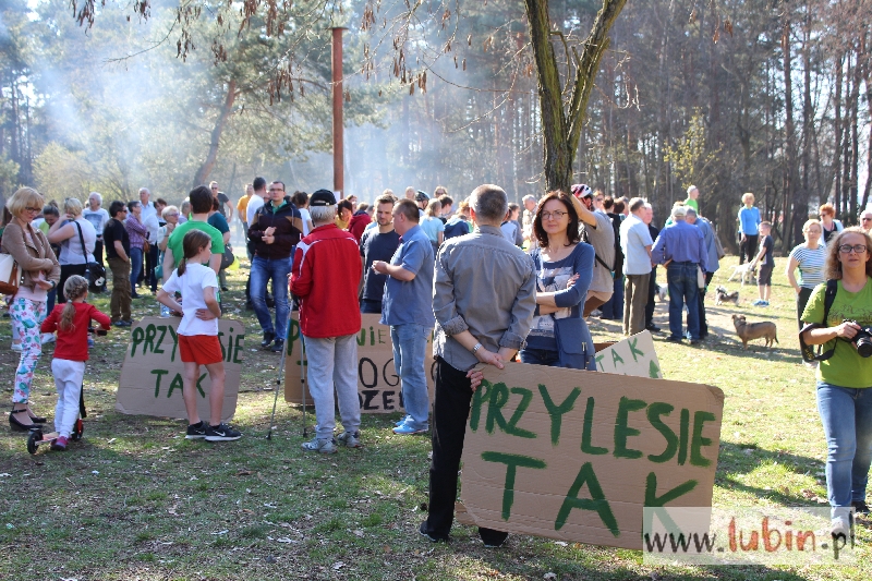 Park militarny na tapecie
