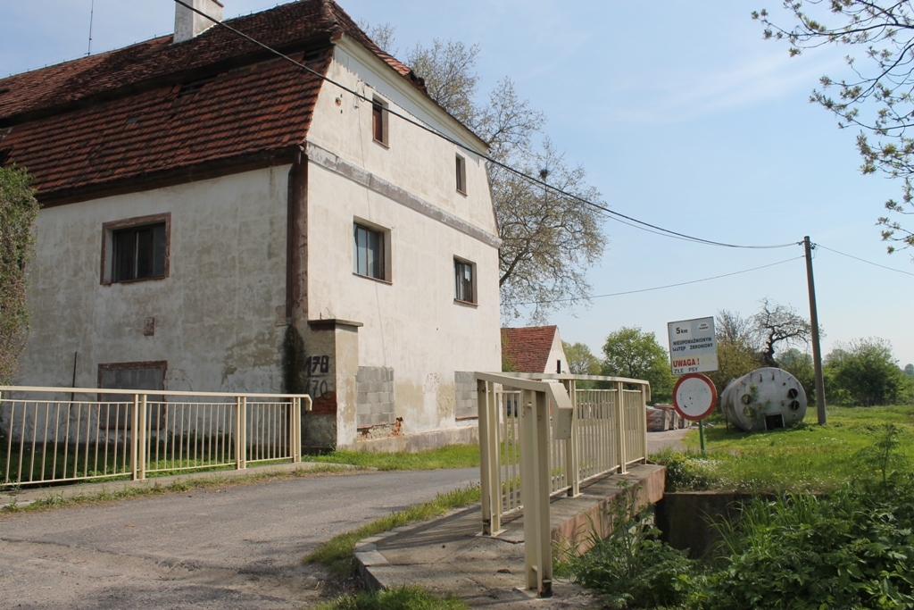 Żonę zamordowano, mąż się podpalił (WIDEO)