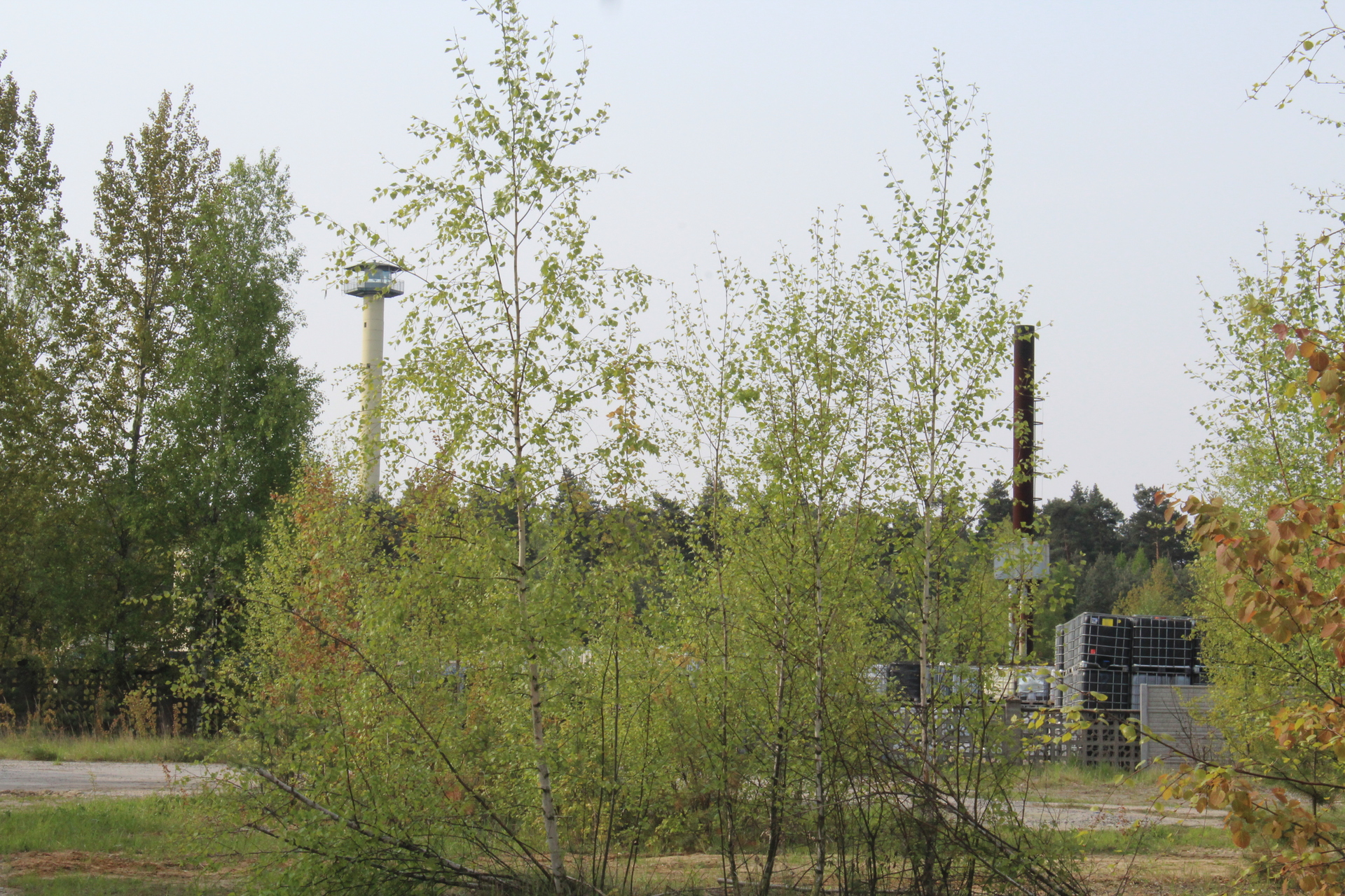 Zarzut za nielegalne odpady koło Jakubowa (WIDEO)