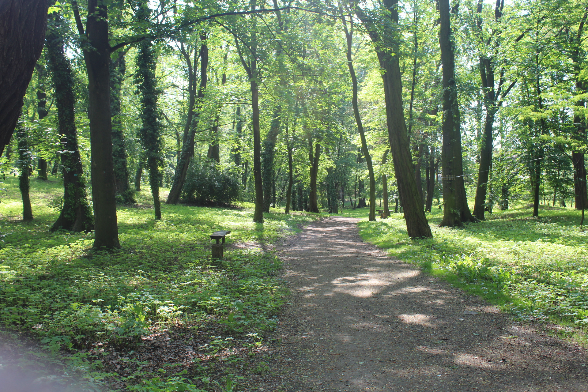 W Głogowie walczą z plagą komarów (WIDEO)