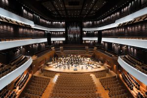 Fot. Łukasz Rajchert/NMF