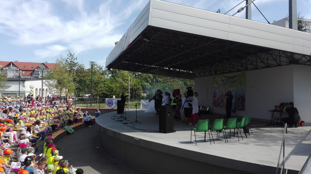 Strażomania z Lwem, Krukiem i Żarkiem (WIDEO)