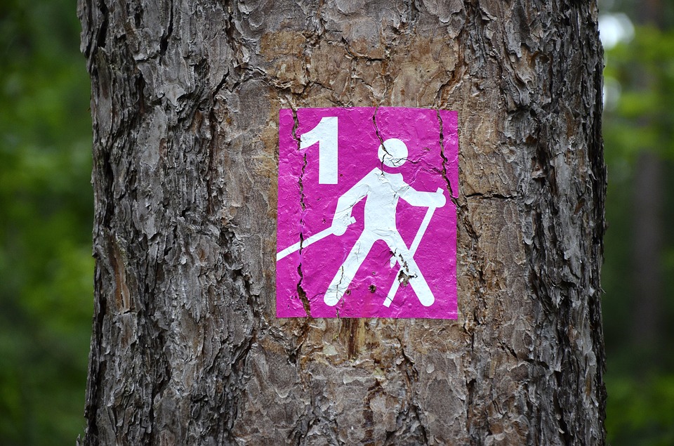 Nordic walking z turystycznymi ciekawostkami