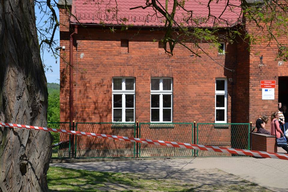 Inwazja pszczół w Rokitnicy – owady zaatakowały gimnazjum