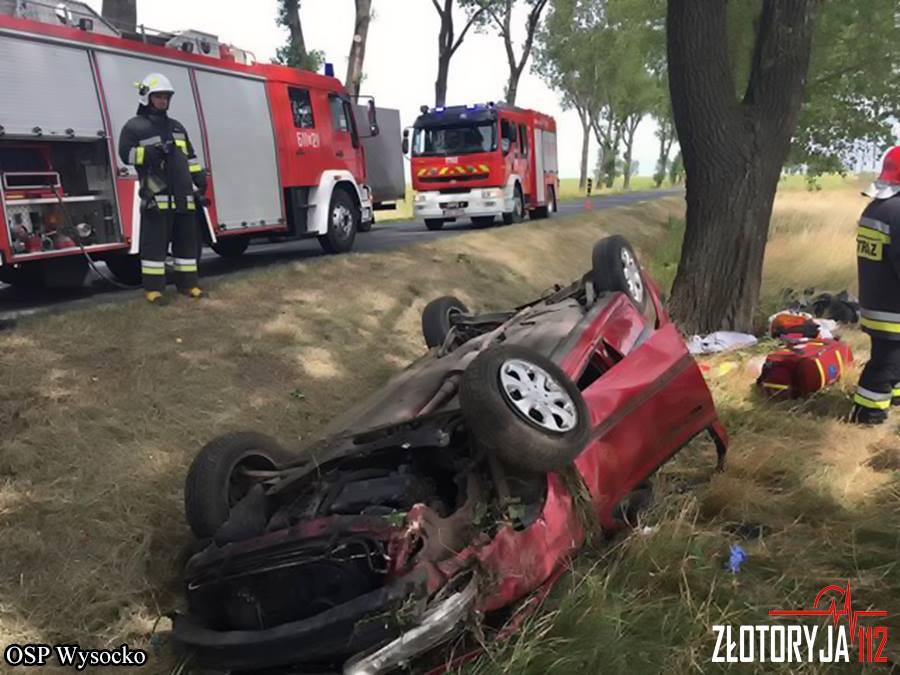 Dachowanie w Kozowie