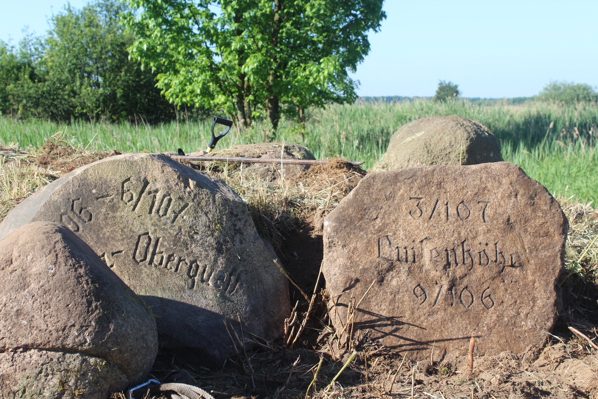 Sensacyjne odkrycie koło Przemkowa (FOTO)