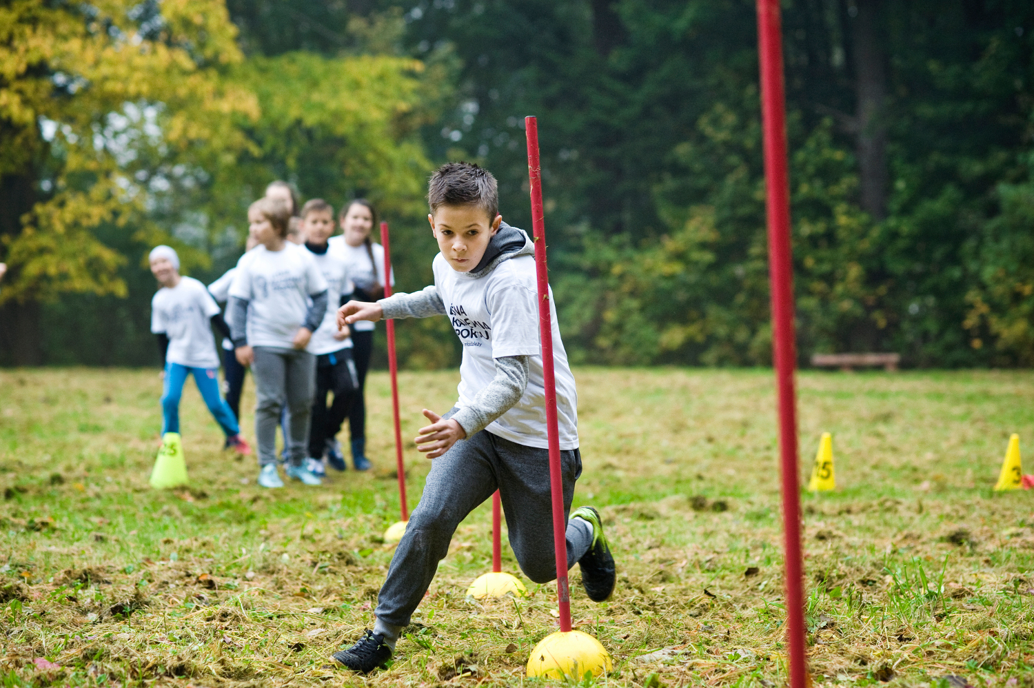Dzieci z Radwanic ruszają do Leśnej Akademii