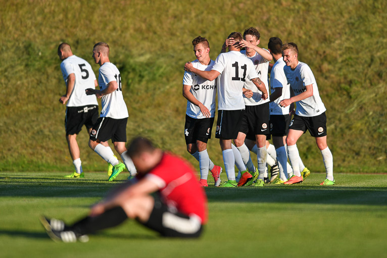 Foto-Higiena chce walkowera!