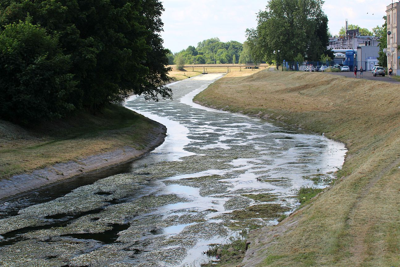 Kaczawa kwitnie, OSiR ma kłopot (WIDEO)