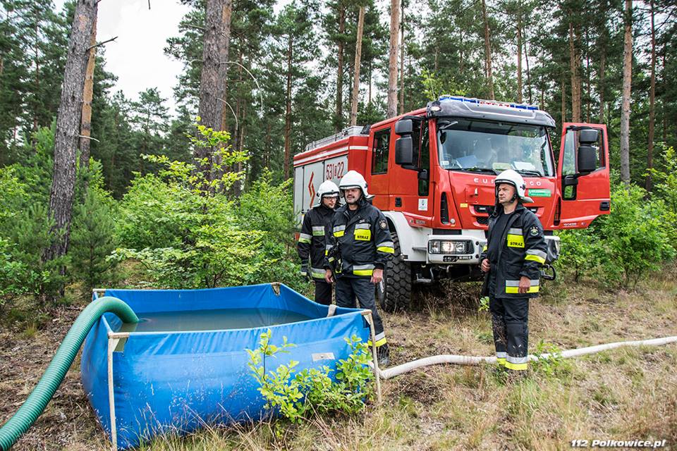 Walczyli z pożarem lasu (FOTO)