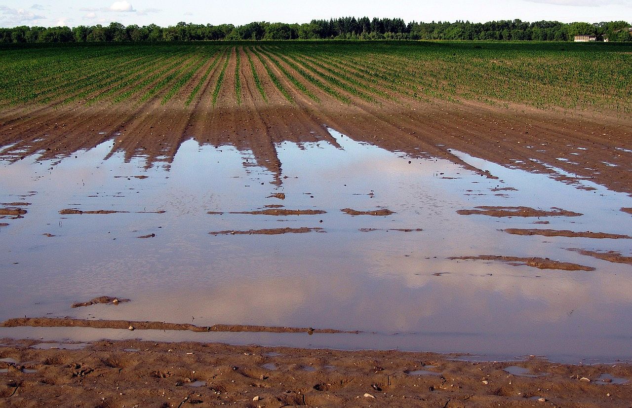 Koniec koszmaru w Kwiatkowicach i Rogowie Legnickim