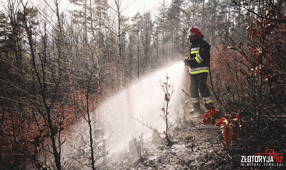 Pożar mieszkania w Złotoryi. Jedna osoba w szpitalu! (FOTO)