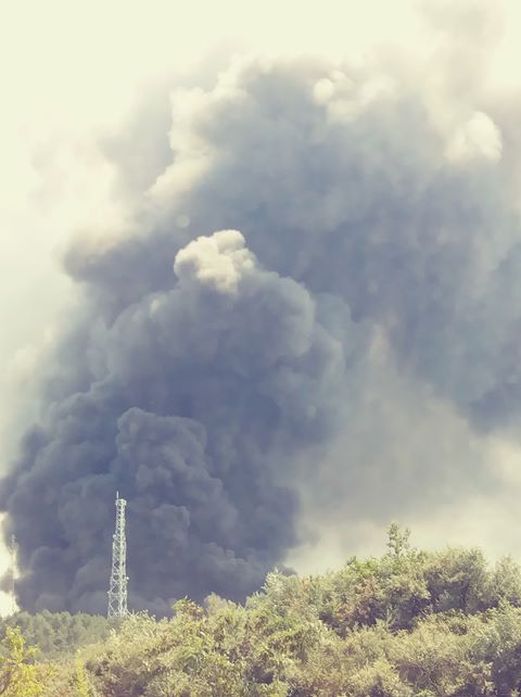 Pięć zastępów gasiło pożar w lesie