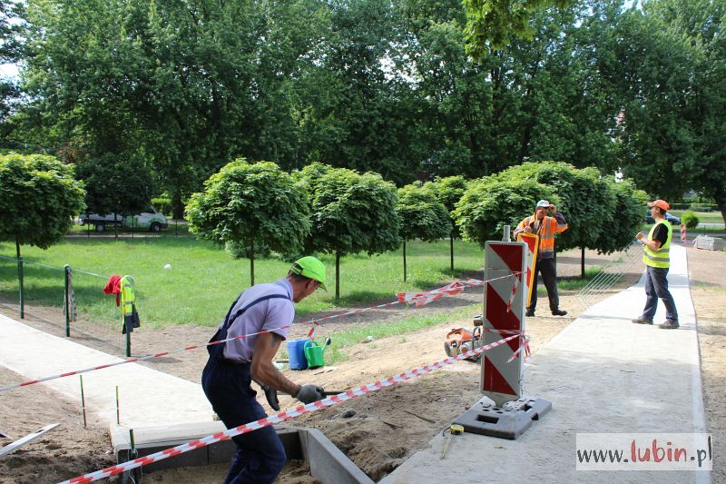 Powstaje pierwszy psi park