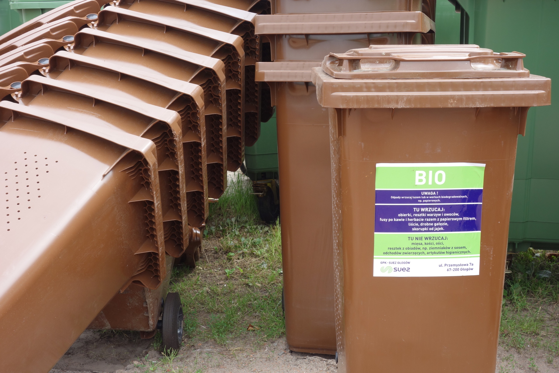 W Głogowie kradną pojemniki BIO