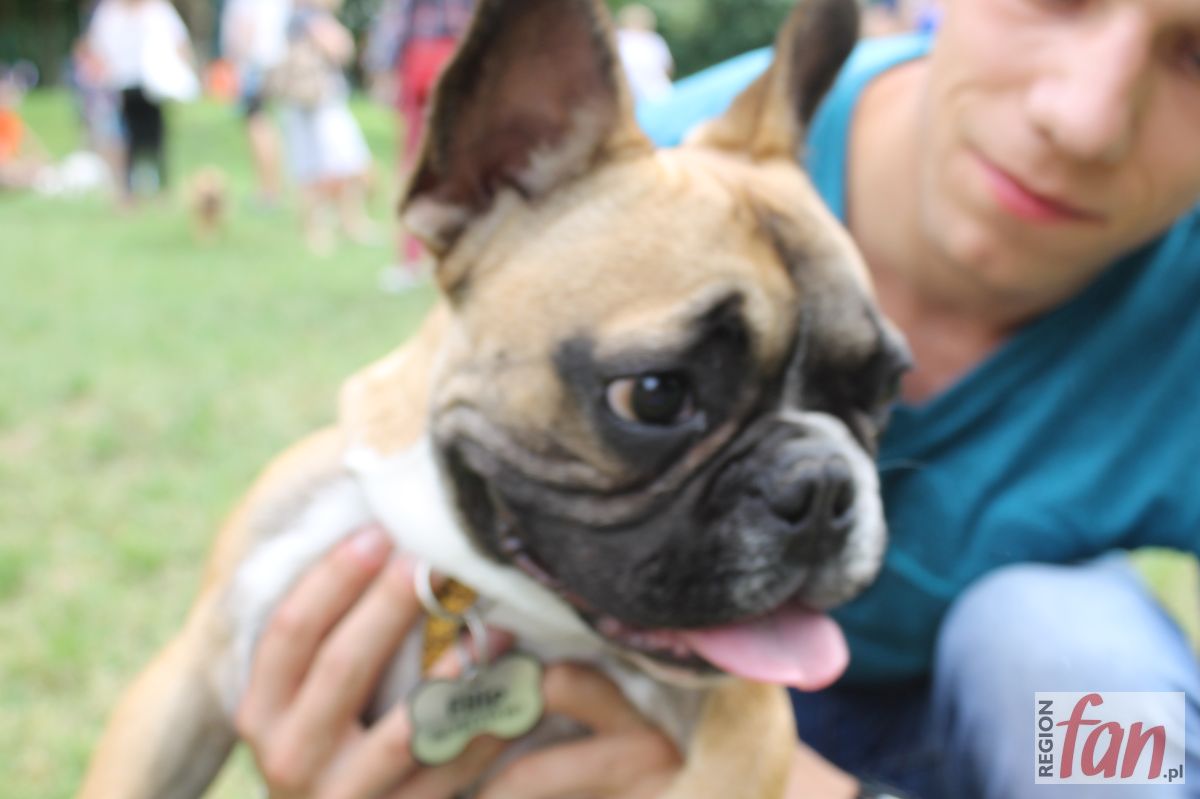 Buldożerowanie przyciągnęło gości z całego regionu (FOTO, WIDEO)