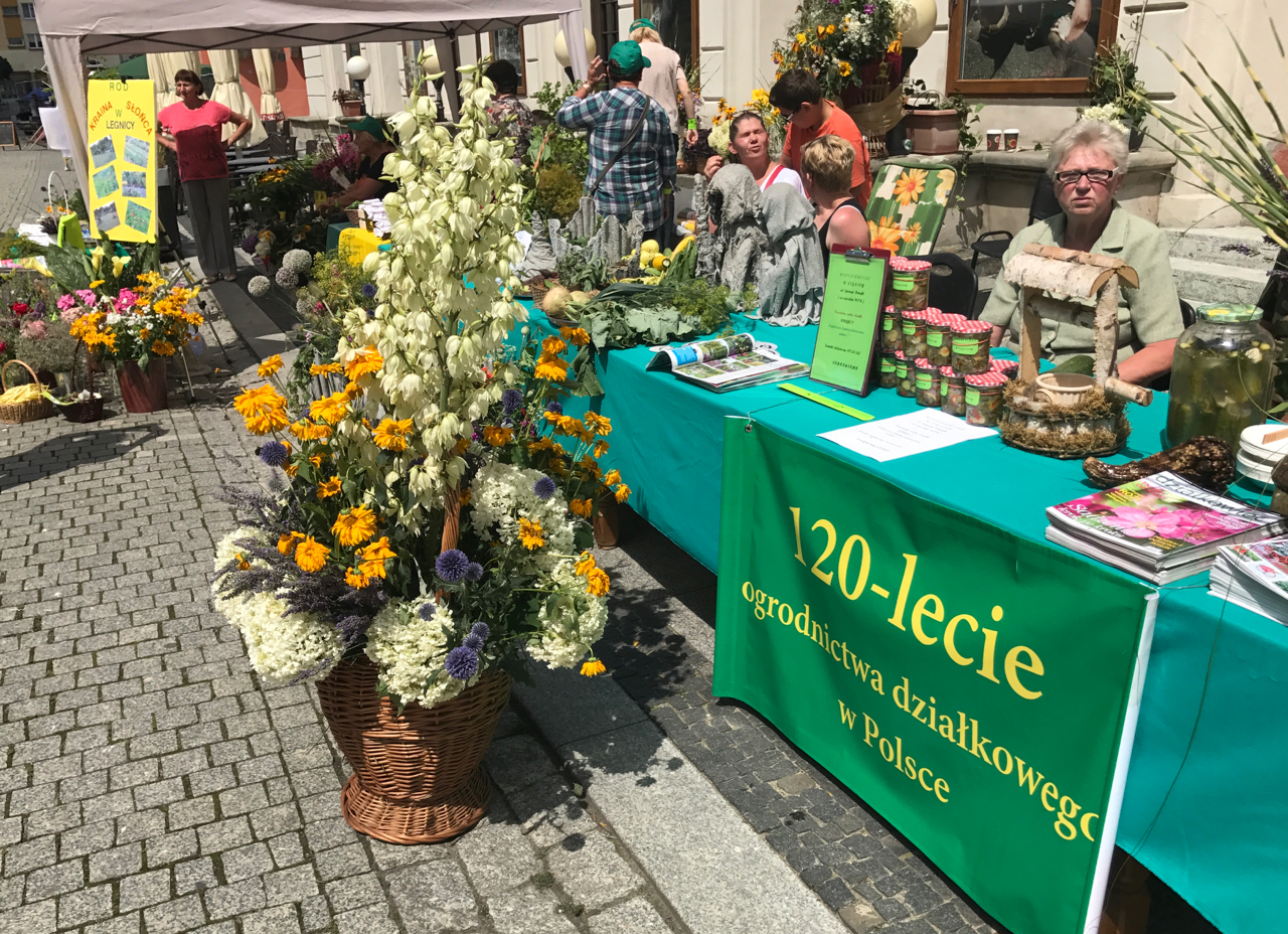 Eko Piknik, czyli w zdrowym ciele zdrowa… strawa