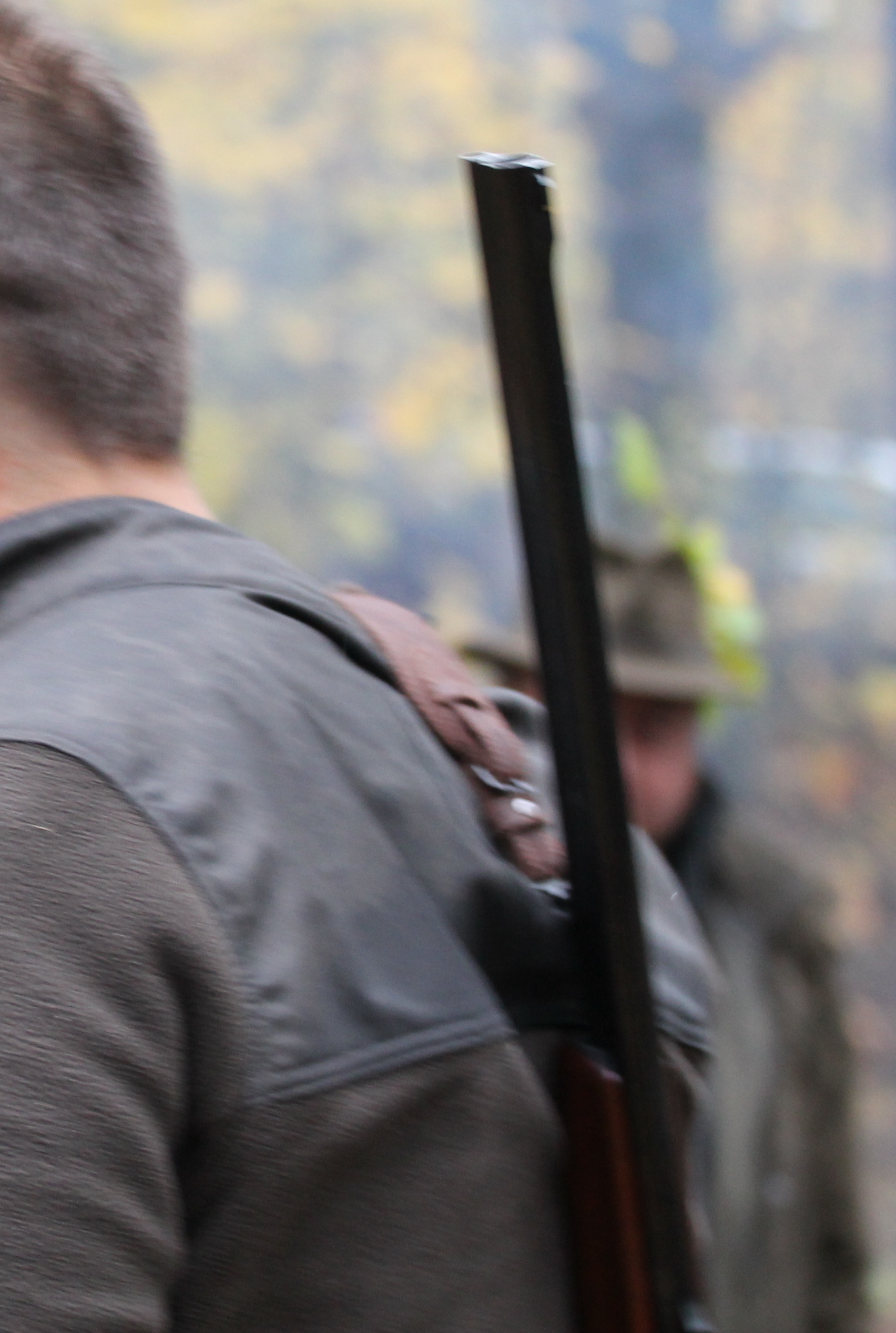 Myśliwy oskarżony o nieumyślne spowodowanie śmierci (WIDEO)