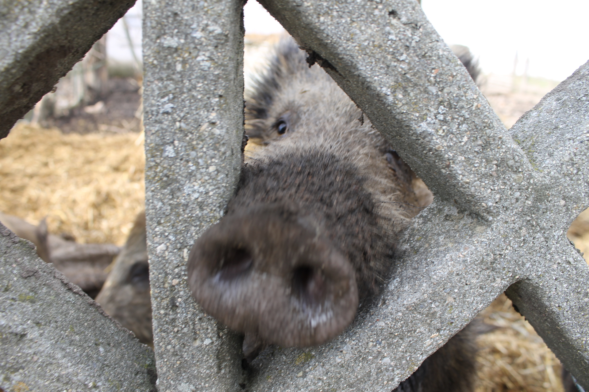 Niechciana żywność tylko do kosza (WIDEO)
