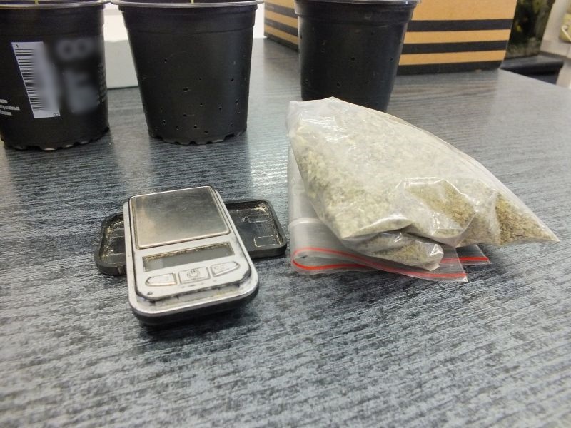 Niebezpieczna mieszanka: konkubina, nóż i marihuana