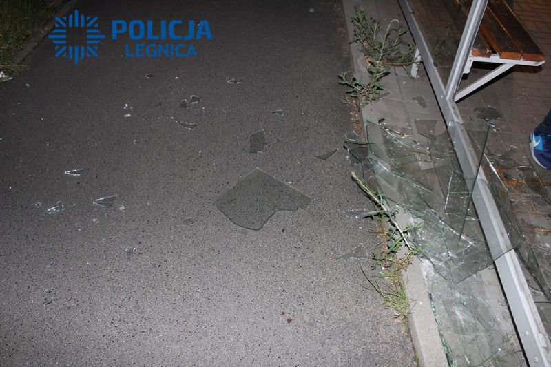 Wezwał pogotowie, skończył w areszcie