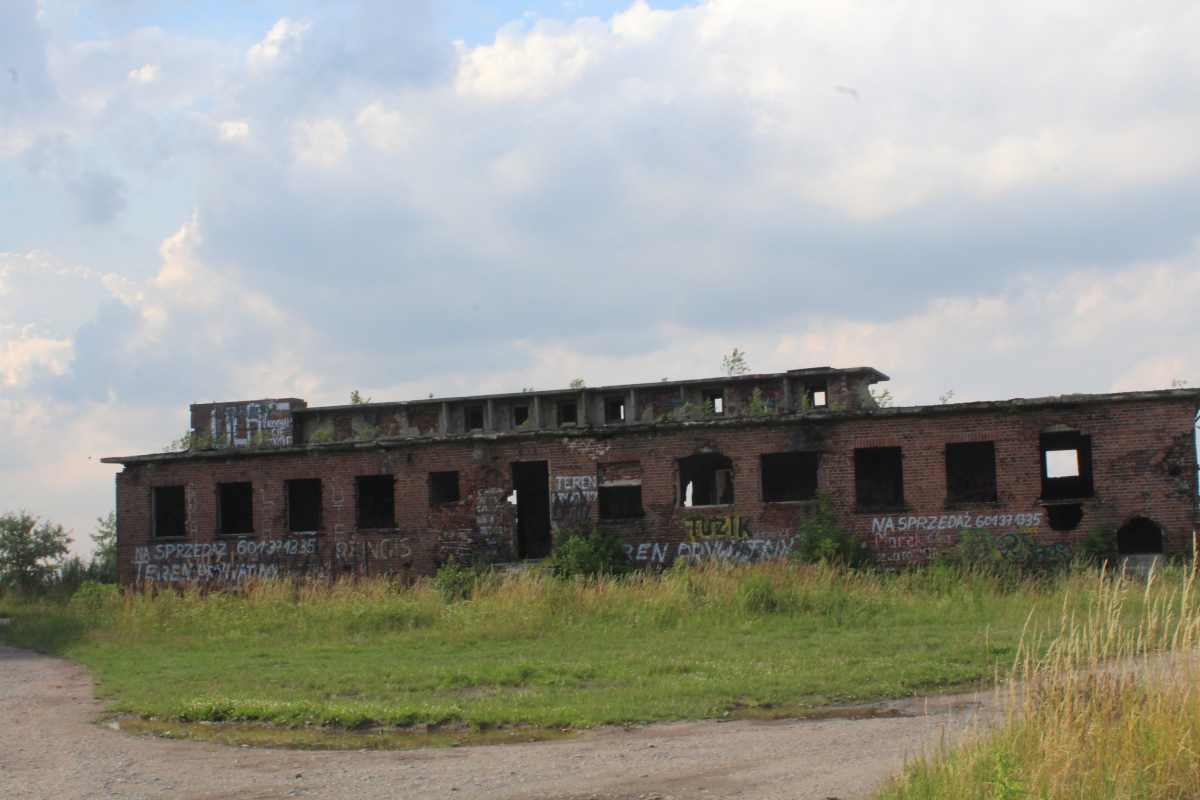 Tajemnicze ruiny na wzgórzu (FOTO)