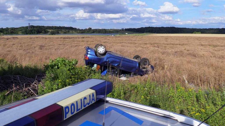 Volkswagen dachował w polach rzepaku (WIDEO)