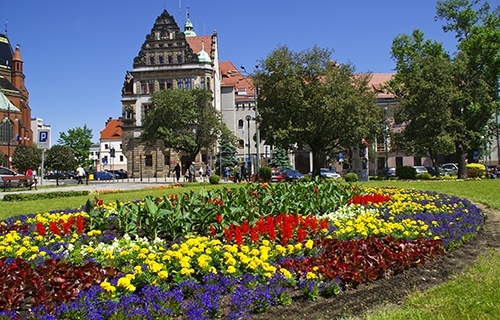Legnica najpiękniej ukwieconym miastem w Polsce?
