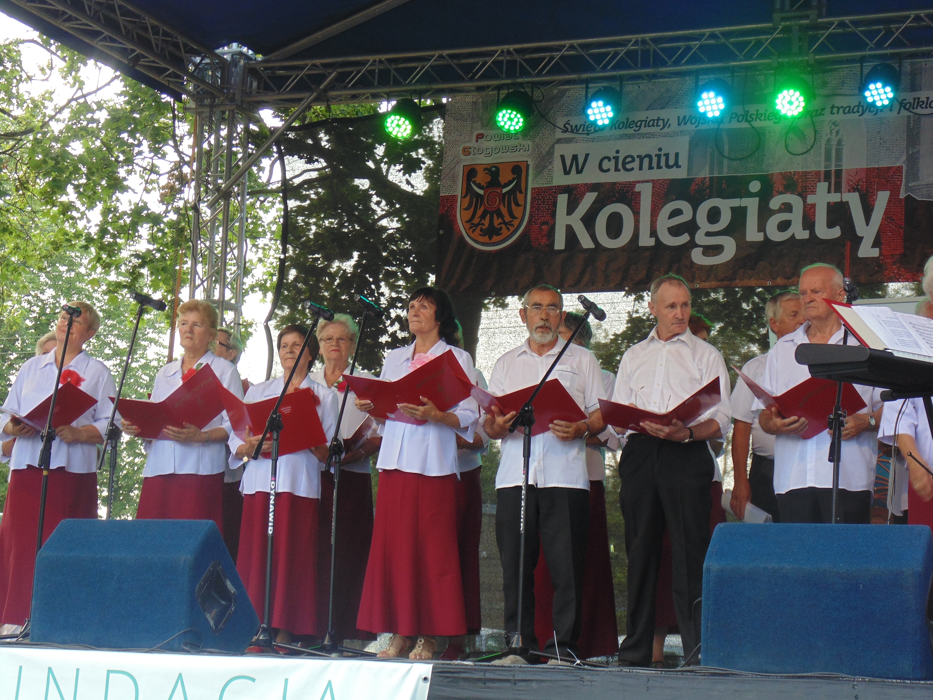 W cieniu głogowskiej kolegiaty