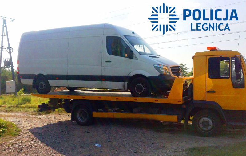 Złodziej ukrył się w polu kukurydzy