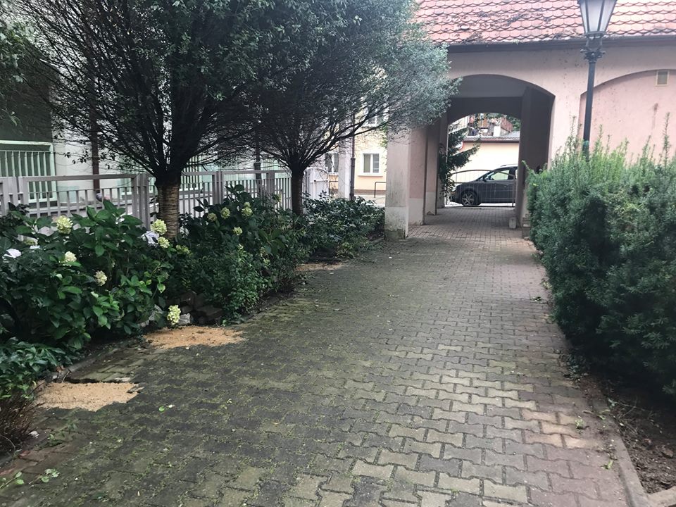 „Zielone Podwórko” w centrum Polkowic