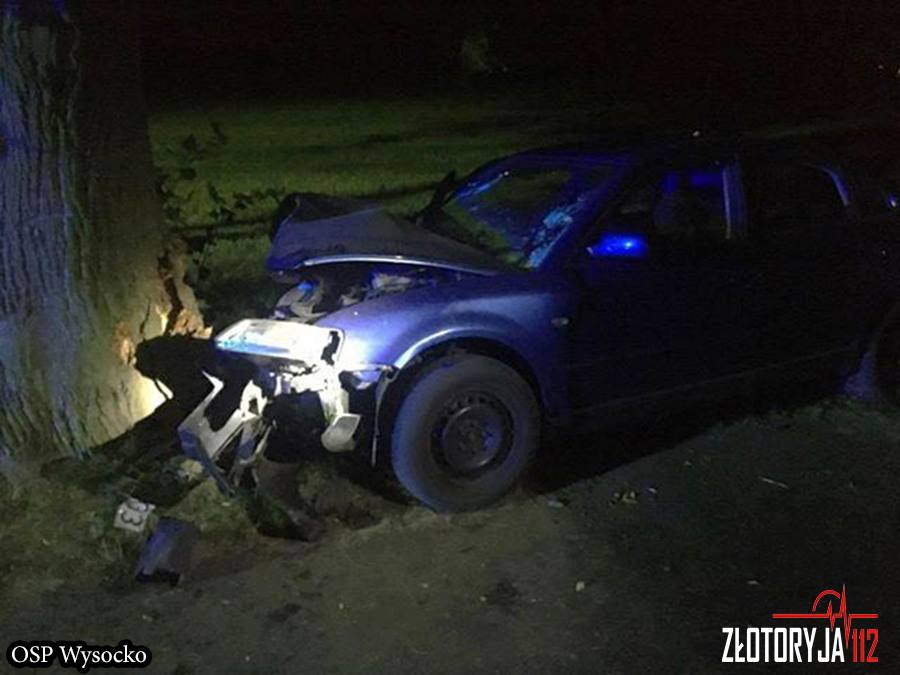 Nocna podróż zakończona na drzewie