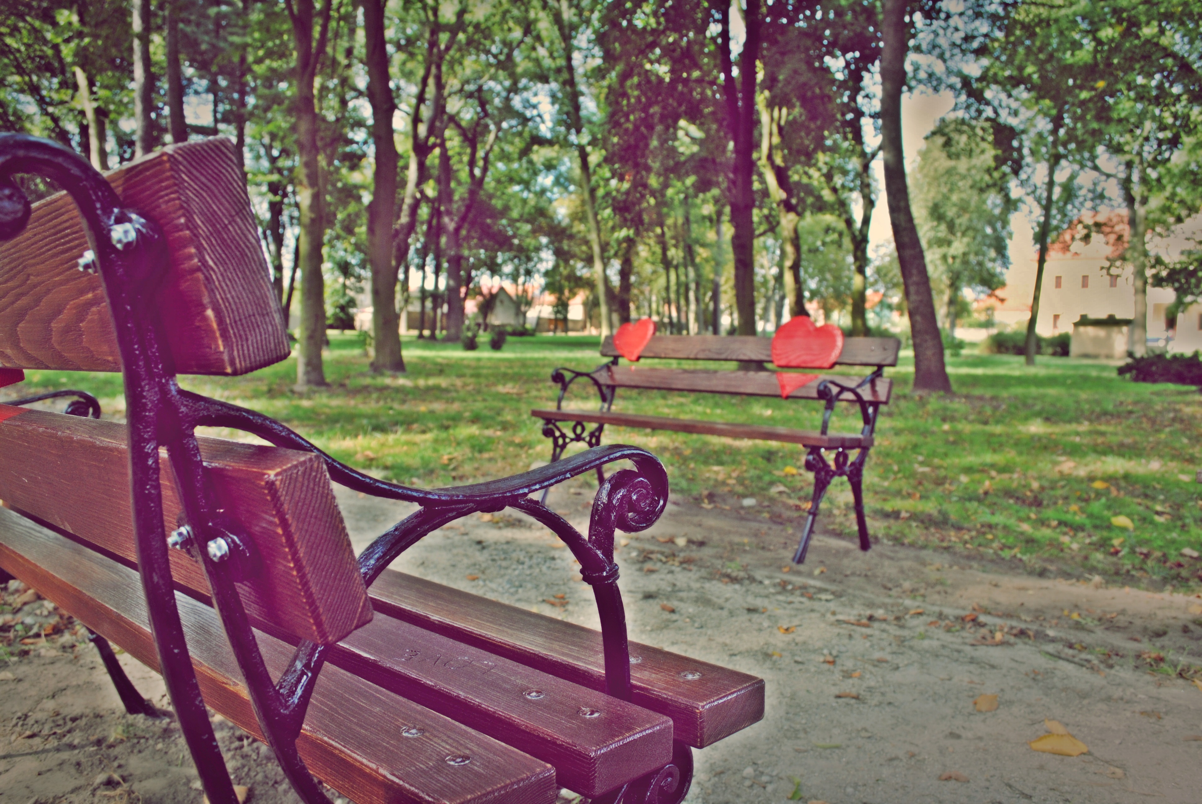 W Gaworzycach są ławeczki miłości