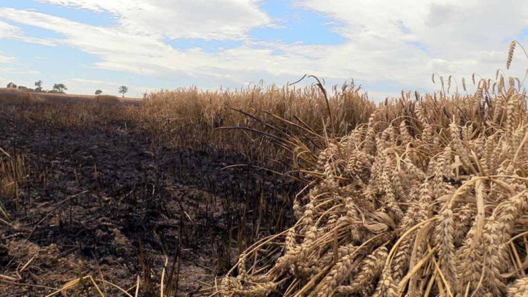 Wystarczyła jedna iskra (WIDEO)