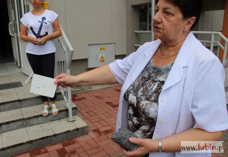 Płacisz albo usuwasz – lubińscy radni robią porządek z reklamami