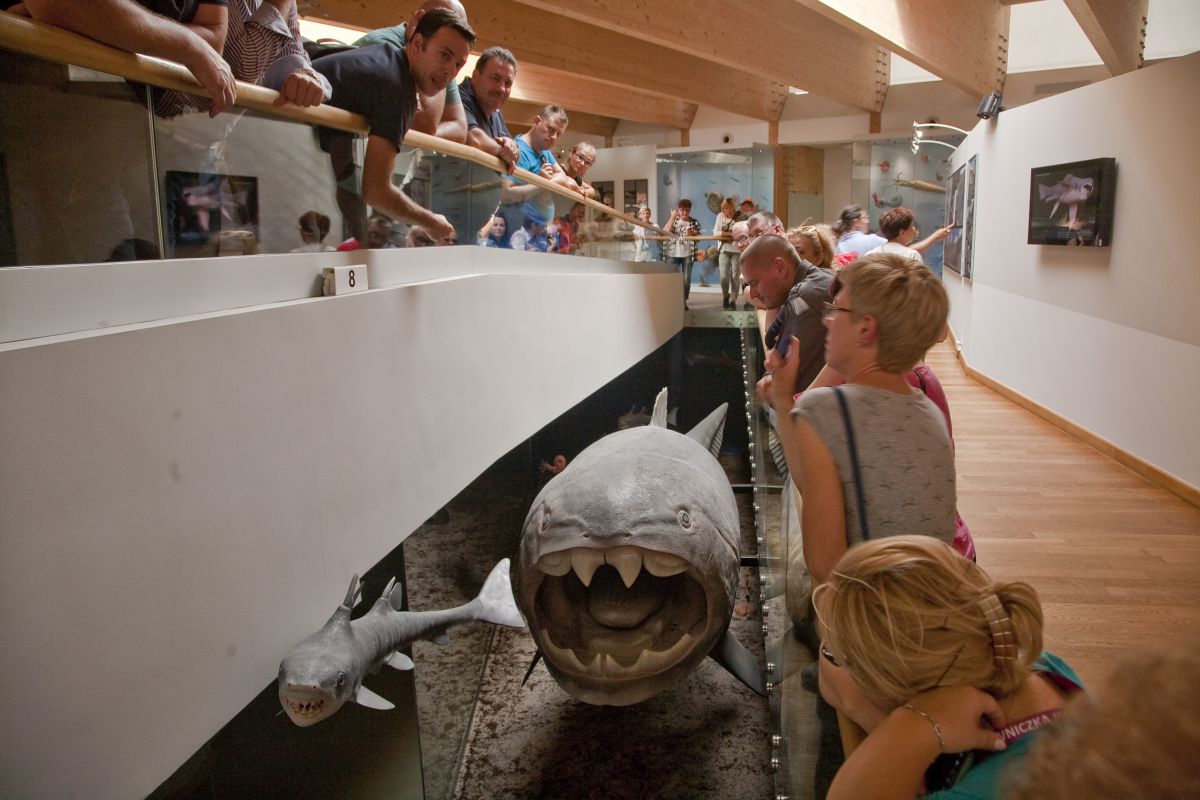 Partnerstwo Kaczawskie z wizytą w kieleckim Geoparku (FOTO)