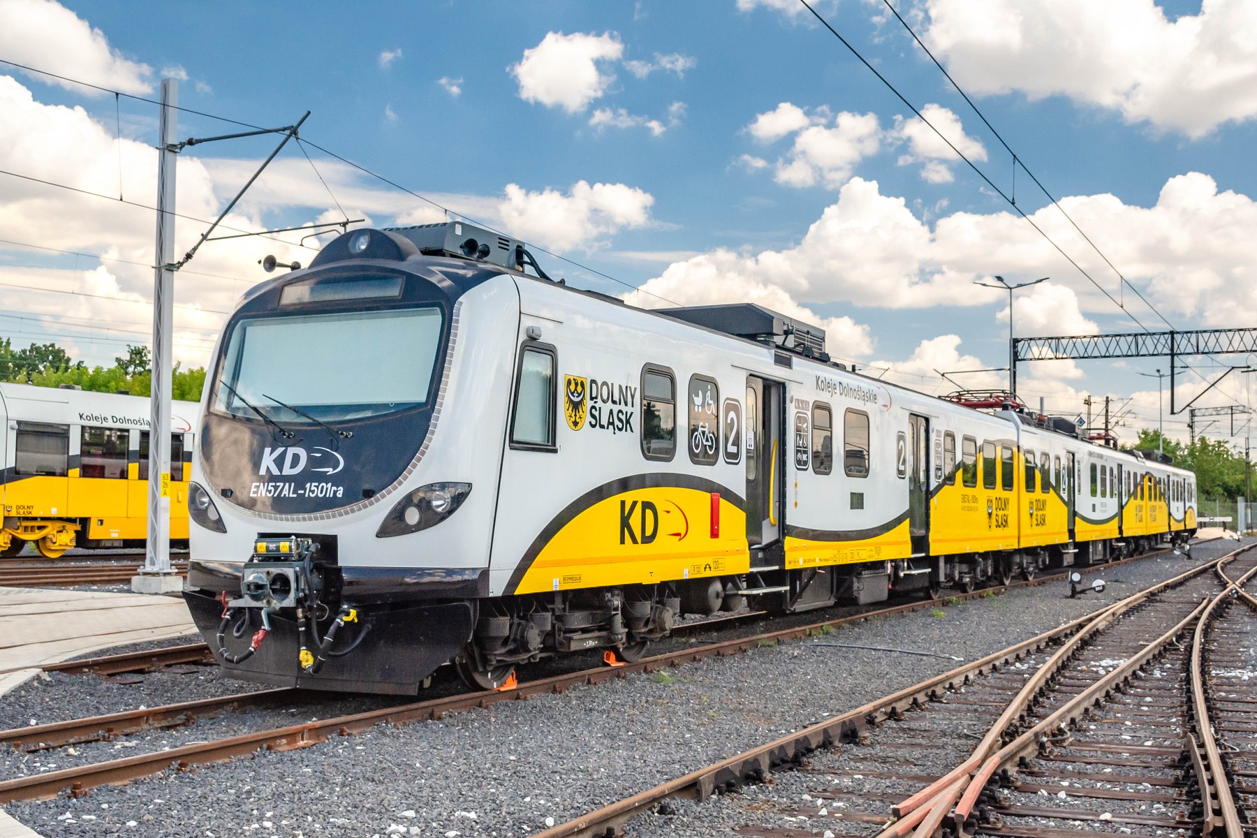 Jest waluta, właściciela brak (WIDEO)