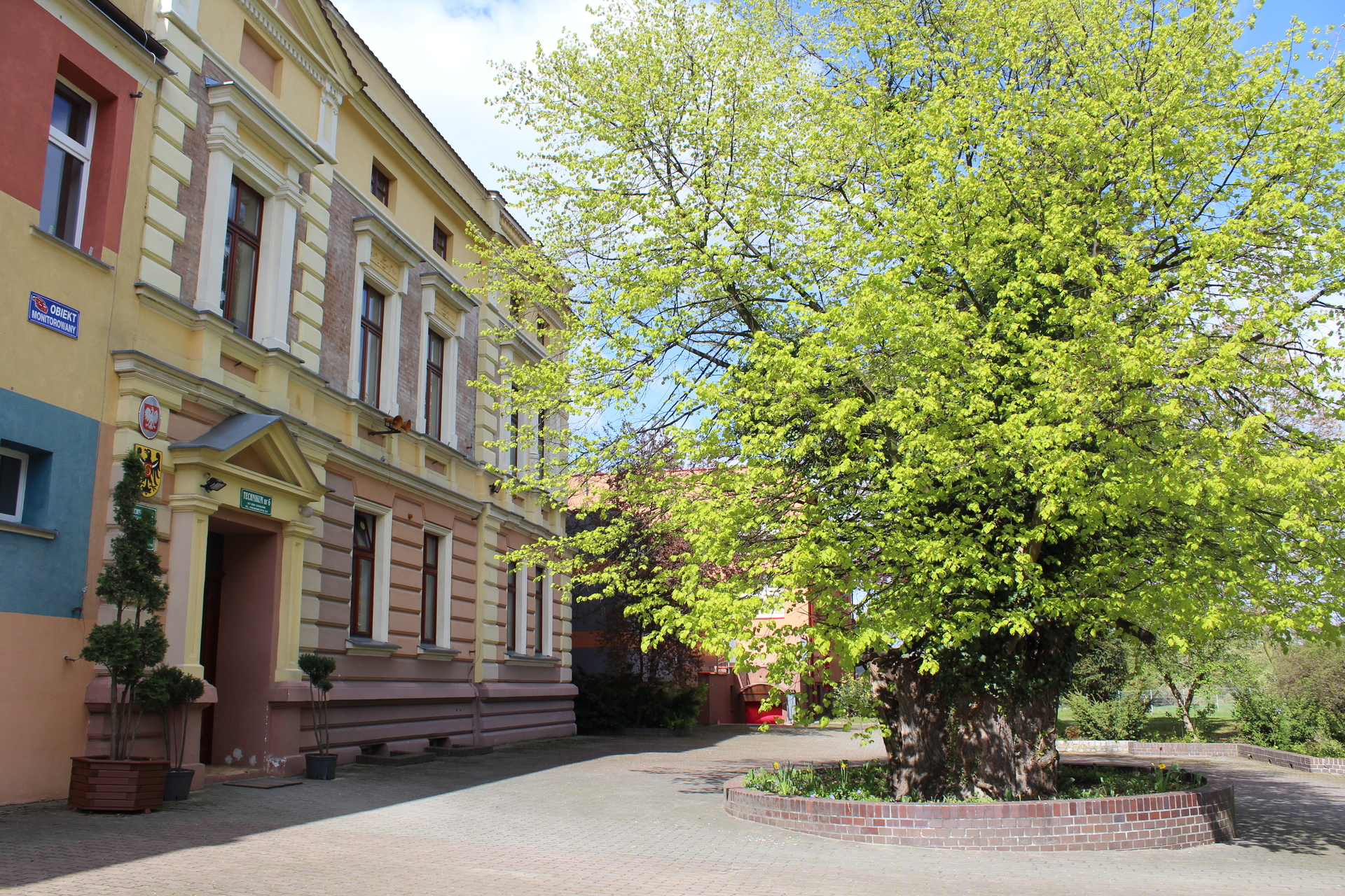 Zamieszanie wokół wyboru dyrektora głogowskiej „Przyrodniczej” (WIDEO)