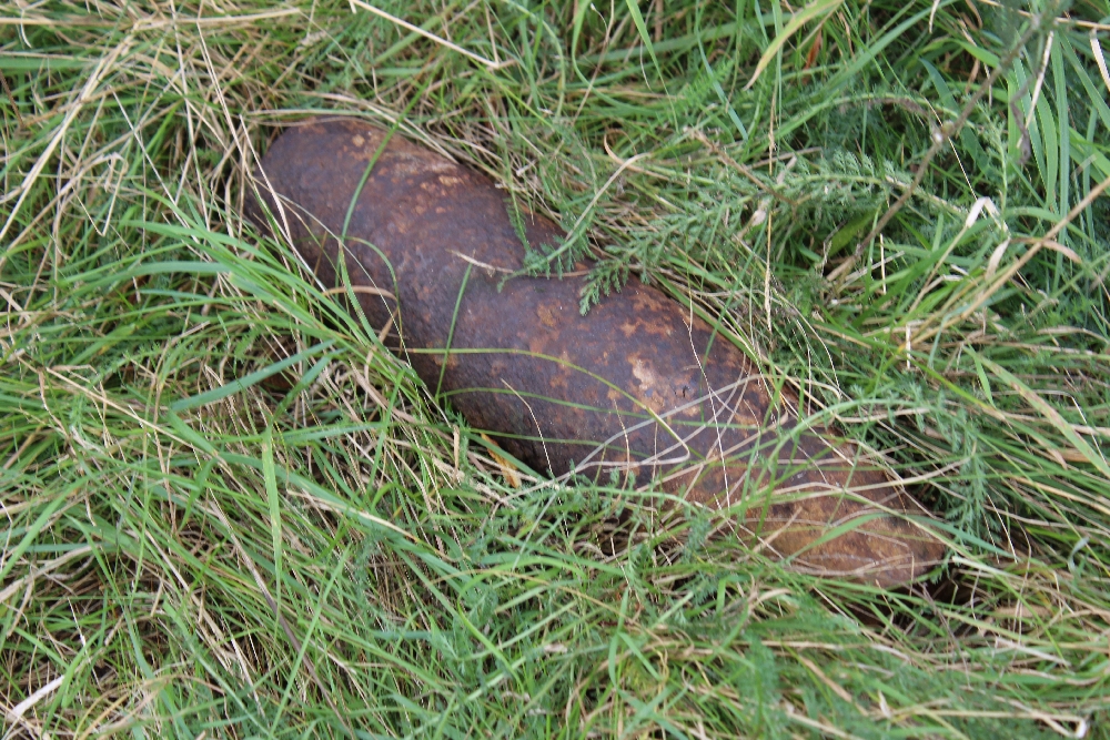 Saperzy zabezpieczyli niewybuch